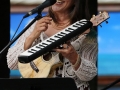 The Fretters’ at Art by the Falls, Chagrin Falls, Ohio